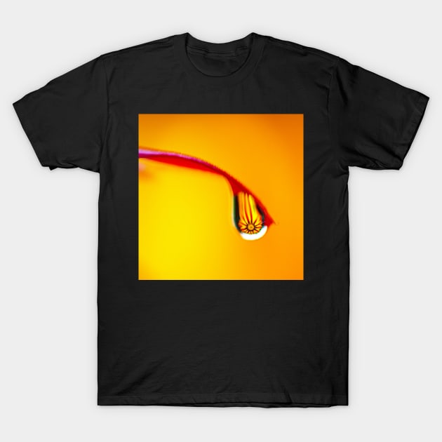 Droplet T-Shirt by static-shotz